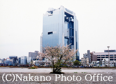 (c) Nakano Photo Office