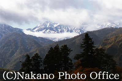 (c) Nakano Photo Office